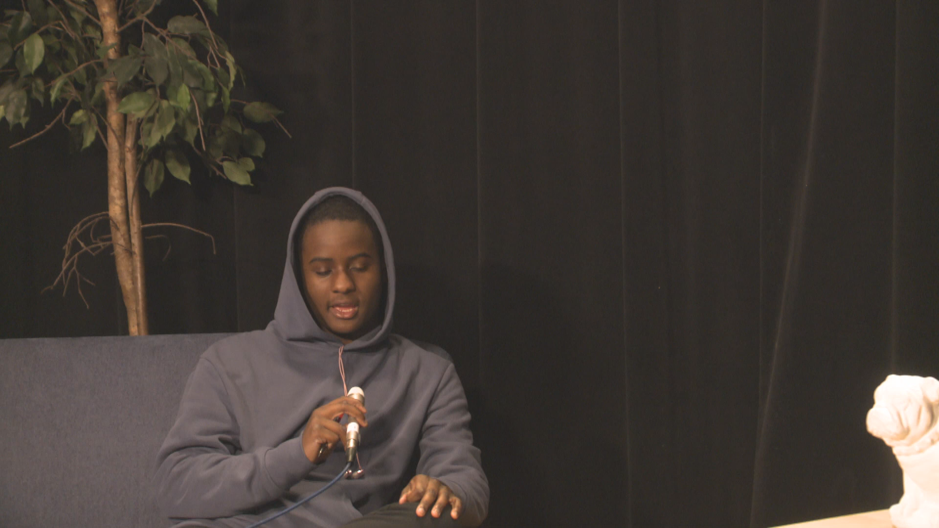 Dog Pound- Summer Trip and Eye in Sky